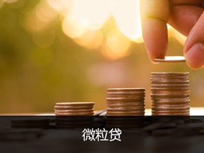 微粒贷