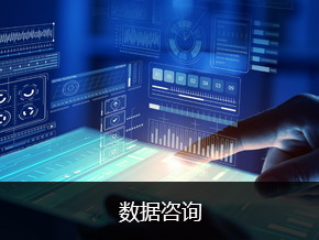 数据咨询