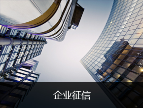 企业征信